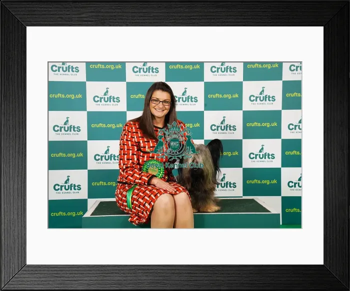 Framed Print : Kirsty Ryan from Lutterworth with Fergal, a Skye Terrier, which was the Best of Breed winner today (Saturday 11. 03. 23), the third day of Crufts 2023, at the NEC Birmingham Framed Print : Kirsty Ryan from Lutterworth with Fergal, a Skye Terrier, which was the Best of Breed winner today (Saturday 11. 03. 23), the third day of Crufts 2023, at the NEC Birmingham