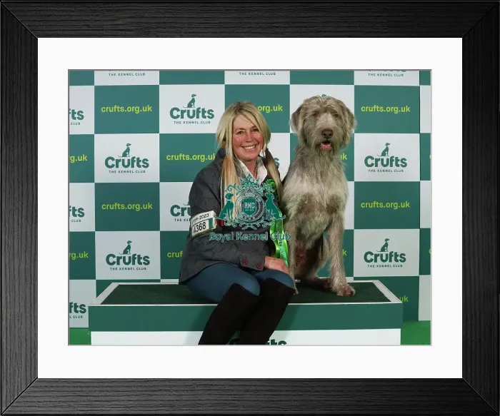 Framed Print : Lynda Adams, from Warwick with Jakob, a Slovakian Rough Haired Pointer, which was the Best of Breed winner today (Thursday 09. 03. 23), the first day of Crufts 2023, at the NEC Birmingham Framed Print : Lynda Adams, from Warwick with Jakob, a Slovakian Rough Haired Pointer, which was the Best of Breed winner today (Thursday 09. 03. 23), the first day of Crufts 2023, at the NEC Birmingham