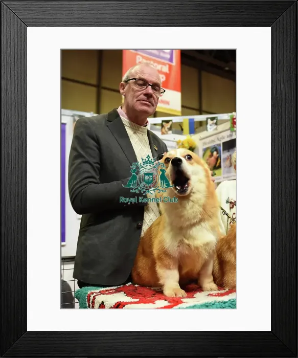 Framed Print : Discover Dogs Kennel Gazette Framed Print : Discover Dogs Kennel Gazette