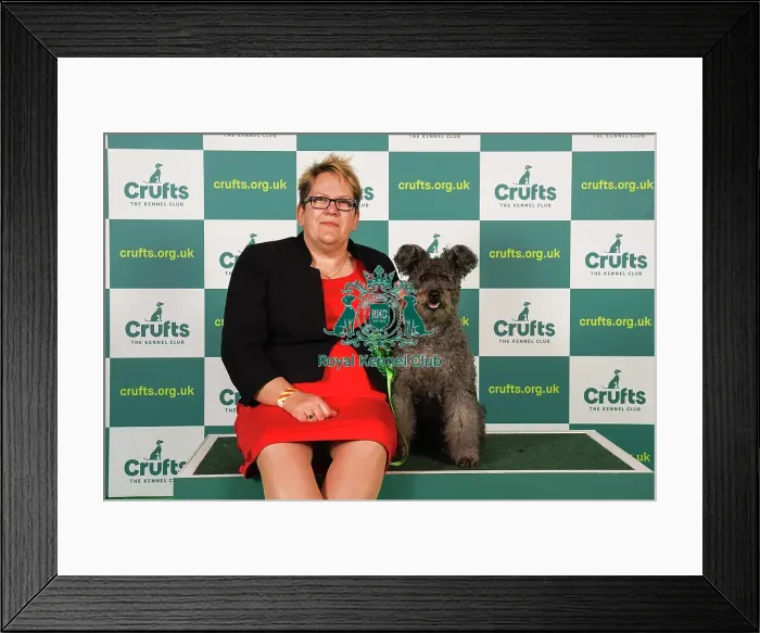 Framed Print : Michelle Smee from Bristol with Sunny, a Hungarian Pumi, which was the Best of Breed winner today (Friday 10. 03. 23), the second day of Crufts 2023, at the NEC Birmingham Framed Print : Michelle Smee from Bristol with Sunny, a Hungarian Pumi, which was the Best of Breed winner today (Friday 10. 03. 23), the second day of Crufts 2023, at the NEC Birmingham
