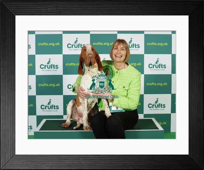 Framed Print : Lynne Bowley from Elgin with Cooper, a Bracco Italiano, which was the Best of Breed winner today (Thursday 09. 03. 23), the first day of Crufts 2023, at the NEC Birmingham Framed Print : Lynne Bowley from Elgin with Cooper, a Bracco Italiano, which was the Best of Breed winner today (Thursday 09. 03. 23), the first day of Crufts 2023, at the NEC Birmingham
