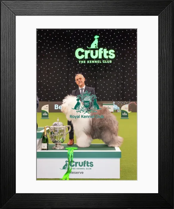 Framed Print : RESERVE BEST IN SHOW Framed Print : RESERVE BEST IN SHOW