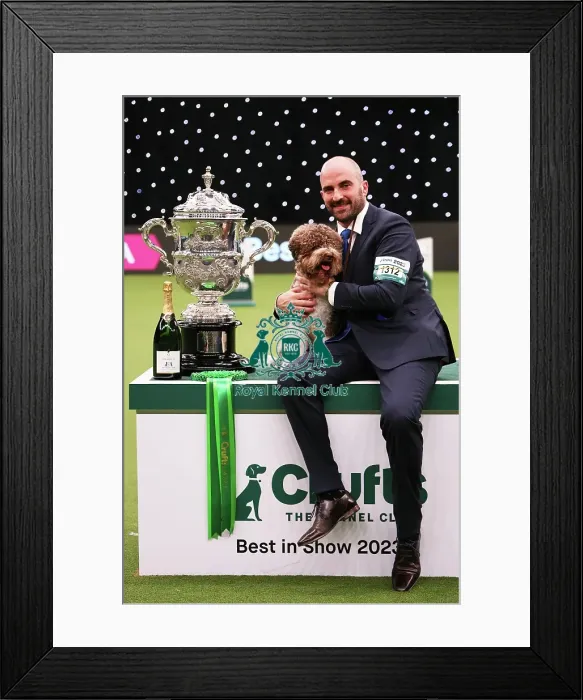 Framed Print : Javier Gonzalez Menicote from Croatia with Orca, a Lagotto Romagnolo, who won the coveted title of Best in Show today (Sunday 12. 03. 23), the final day of Crufts 2023, at the NEC Birmingham Framed Print : Javier Gonzalez Menicote from Croatia with Orca, a Lagotto Romagnolo, who won the coveted title of Best in Show today (Sunday 12. 03. 23), the final day of Crufts 2023, at the NEC Birmingham