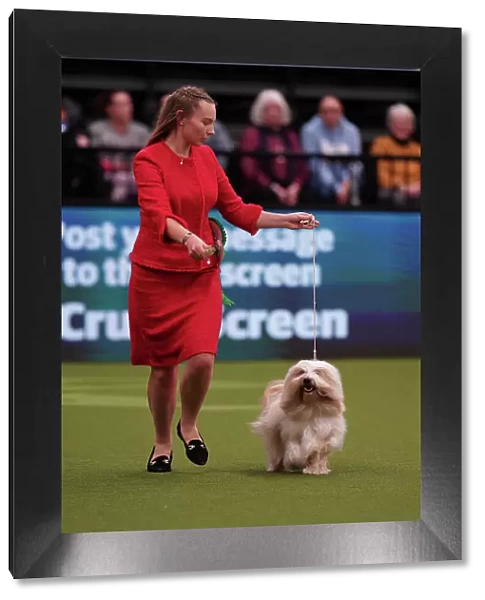 Augusta Mocililskyte from Lithuania, with Leo, a Tibetan Terrier, which was the Best of Breed winner today (Sunday 12. 03. 23), the last day of Crufts 2023, at the NEC Birmingham