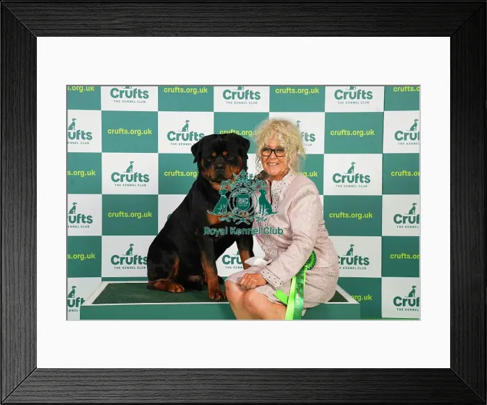 Framed Print : Liz Dunhill from Clumber Park with Dutch, a Rottweiler, which was the Best of Breed winner today (Friday 10. 03. 23), the second day of Crufts 2023, at the NEC Birmingham Framed Print : Liz Dunhill from Clumber Park with Dutch, a Rottweiler, which was the Best of Breed winner today (Friday 10. 03. 23), the second day of Crufts 2023, at the NEC Birmingham