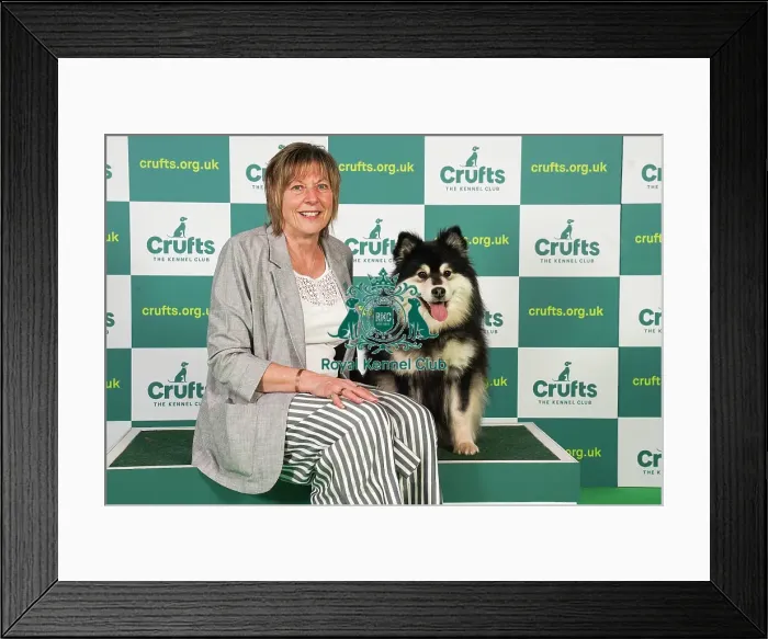Framed Print : Toni Jackson from Surrey with Mera, a Finnish Lapphund, which was the Best of Breed winner today (Friday 10. 03. 23), the second day of Crufts 2023, at the NEC Birmingham Framed Print : Toni Jackson from Surrey with Mera, a Finnish Lapphund, which was the Best of Breed winner today (Friday 10. 03. 23), the second day of Crufts 2023, at the NEC Birmingham