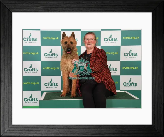 Framed Print : Jackie Snook from Whitwick with Leffe, a Belgian Shepherd Dog (Laekenois), which was the Best of Breed winner today (Friday 10. 03. 23), the second day of Crufts 2023, at the NEC Birmingham