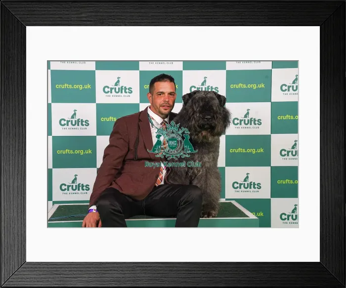 Framed Print : Attile Schlosser from Hungary with, a Bouvier des Flandres, which was the Best of Breed winner today (Friday 10. 03. 23), the second day of Crufts 2023, at the NEC Birmingham