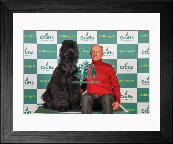 Framed Print : Cazemeaz Koss from Poland with Mazurzkifiat, a Russian Black Terrier, which was the Best of Breed winner today (Friday 10. 03. 23), the second day of Crufts 2023, at the NEC Birmingham