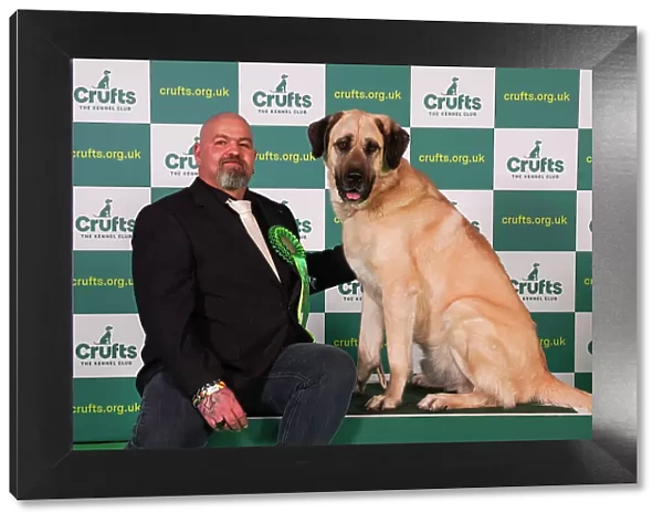 Wilken Thomas from Germany with Werner, a Turkish Kangal Dog, which was the Best of Breed winner today (Friday 10. 03. 23), the second day of Crufts 2023, at the NEC Birmingham