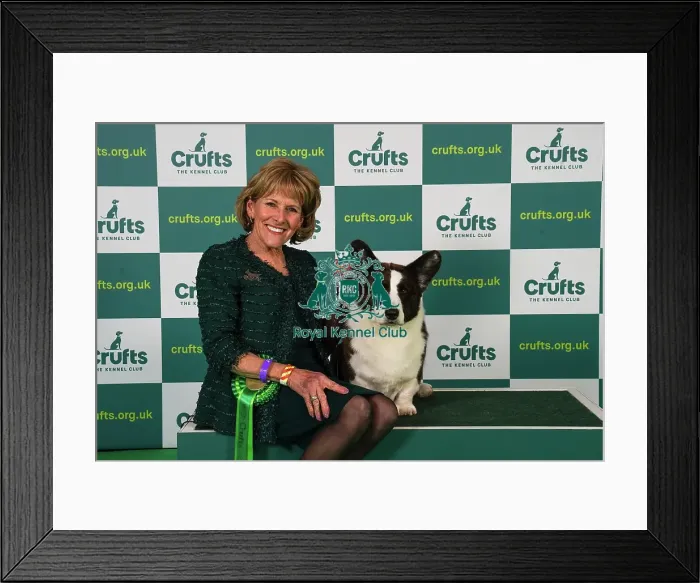 Framed Print : Sherri Hunt from Houston with Noah, a Welsh Corgi (Cardigan), which was the Best of Breed winner today (Friday 10. 03. 23), the second day of Crufts 2023, at the NEC Birmingham Framed Print : Sherri Hunt from Houston with Noah, a Welsh Corgi (Cardigan), which was the Best of Breed winner today (Friday 10. 03. 23), the second day of Crufts 2023, at the NEC Birmingham