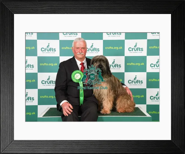 Framed Print : Brian Harper from Canada with Pacco, a Catalan Sheepdog, which was the Best of Breed winner today (Friday 10. 03. 23), the second day of Crufts 2023, at the NEC Birmingham
