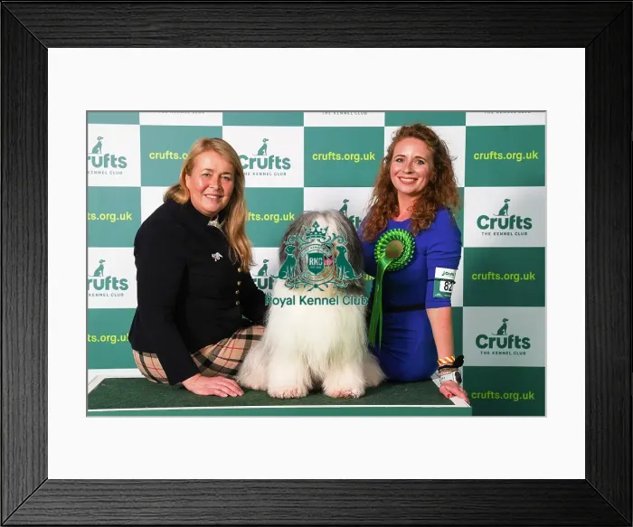 Framed Print : Maggie Maciagiewkz and Ula Staszczyk from USA and Poland, with Szyszka, a Polish Lowland Sheepdog, which was the Best of Breed winner today (Friday 10. 03. 23), the second day of Crufts 2023, at the NEC Birmingham Framed Print : Maggie Maciagiewkz and Ula Staszczyk from USA and Poland, with Szyszka, a Polish Lowland Sheepdog, which was the Best of Breed winner today (Friday 10. 03. 23), the second day of Crufts 2023, at the NEC Birmingham