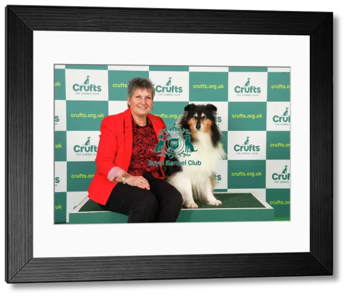 Framed Print : Suzanne Randall from Swanington with Eve, a Collie (Rough), which was the Best of Breed winner today (Friday 10. 03. 23), the second day of Crufts 2023, at the NEC Birmingham Framed Print : Suzanne Randall from Swanington with Eve, a Collie (Rough), which was the Best of Breed winner today (Friday 10. 03. 23), the second day of Crufts 2023, at the NEC Birmingham