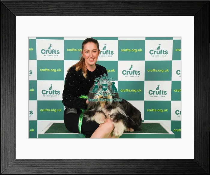 Framed Print : Matilda Sandberg from Sweden with Amira, a Bearded Collie, which was the Best of Breed winner today (Friday 10. 03. 23), the second day of Crufts 2023, at the NEC Birmingham Framed Print : Matilda Sandberg from Sweden with Amira, a Bearded Collie, which was the Best of Breed winner today (Friday 10. 03. 23), the second day of Crufts 2023, at the NEC Birmingham