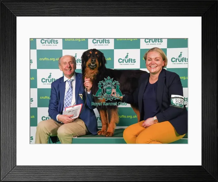 Framed Print : Michael Murphy and Heli Mooney from Kildare with Beamish, a Hovawart, which was the Best of Breed winner today (Friday 10. 03. 23), the second day of Crufts 2023, at the NEC Birmingham Framed Print : Michael Murphy and Heli Mooney from Kildare with Beamish, a Hovawart, which was the Best of Breed winner today (Friday 10. 03. 23), the second day of Crufts 2023, at the NEC Birmingham