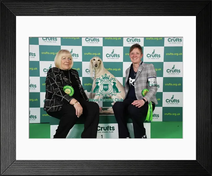 Framed Print : Michelle Ulyatt and Linda Aldous from Bexhill on Sea with Storm a Saluki, which was the Best of Breed winner today (Saturday 11. 03. 23), the third day of Crufts 2023, at the NEC Birmingham Framed Print : Michelle Ulyatt and Linda Aldous from Bexhill on Sea with Storm a Saluki, which was the Best of Breed winner today (Saturday 11. 03. 23), the third day of Crufts 2023, at the NEC Birmingham