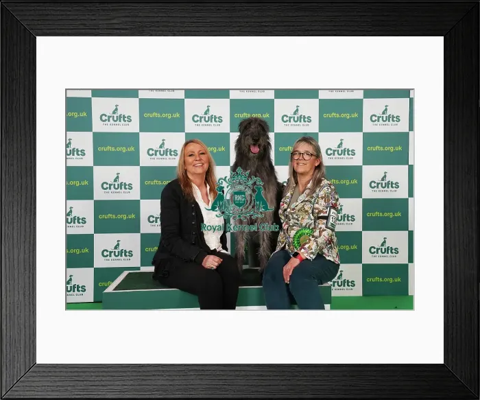Framed Print : Dena Abbott and Nicola Bailey from Leicestershire with Pearl, a Deerhound, which was the Best of Breed winner today (Saturday 11. 03. 23), the third day of Crufts 2023, at the NEC Birmingham Framed Print : Dena Abbott and Nicola Bailey from Leicestershire with Pearl, a Deerhound, which was the Best of Breed winner today (Saturday 11. 03. 23), the third day of Crufts 2023, at the NEC Birmingham
