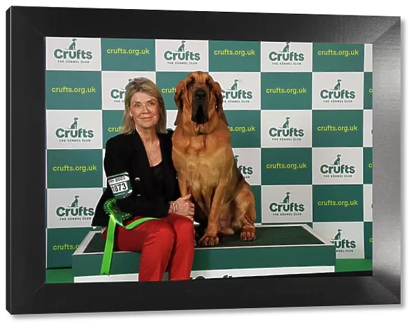 Tracie Howie from Norwich with Bert, a Bloodhound, which was the Best of Breed winner today (Saturday 11. 03. 23), the third day of Crufts 2023, at the NEC Birmingham