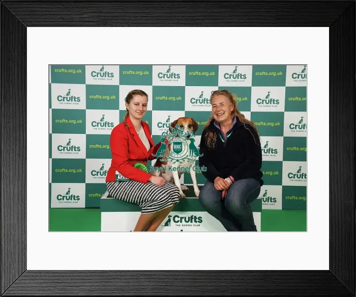 Framed Print : Alysha Branchflower and Charlotte Farrar from Bridgewater with Havoc, a Harrier, which was the Best of Breed winner today (Saturday 11. 03. 23), the third day of Crufts 2023, at the NEC Birmingham Framed Print : Alysha Branchflower and Charlotte Farrar from Bridgewater with Havoc, a Harrier, which was the Best of Breed winner today (Saturday 11. 03. 23), the third day of Crufts 2023, at the NEC Birmingham