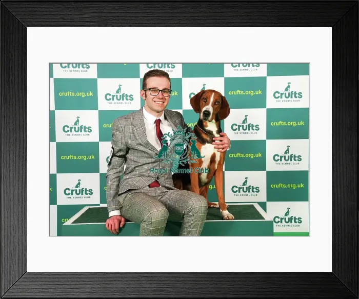 Framed Print : Reagan Graham from Cumbria with Larsson, a Hamiltonstovare, which was the Best of Breed winner today (Saturday 11. 03. 23), the third day of Crufts 2023, at the NEC Birmingham Framed Print : Reagan Graham from Cumbria with Larsson, a Hamiltonstovare, which was the Best of Breed winner today (Saturday 11. 03. 23), the third day of Crufts 2023, at the NEC Birmingham