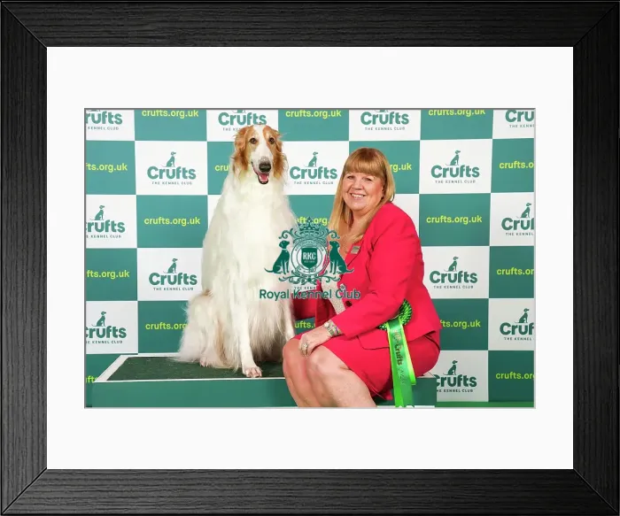 Framed Print : Sue Pinkerton from Exeter with Rory, a Borzoi, which was the Best of Breed winner today (Saturday 11. 03. 23), the third day of Crufts 2023, at the NEC Birmingham Framed Print : Sue Pinkerton from Exeter with Rory, a Borzoi, which was the Best of Breed winner today (Saturday 11. 03. 23), the third day of Crufts 2023, at the NEC Birmingham
