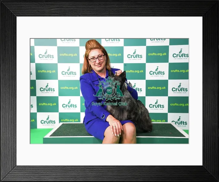 Framed Print : Rebecca Cross from Pennsylvania, USA, with Jasper, a Scottish Terrier, which was the Best of Breed winner today (Saturday 11. 03. 23), the third day of Crufts 2023, at the NEC Birmingham Framed Print : Rebecca Cross from Pennsylvania, USA, with Jasper, a Scottish Terrier, which was the Best of Breed winner today (Saturday 11. 03. 23), the third day of Crufts 2023, at the NEC Birmingham