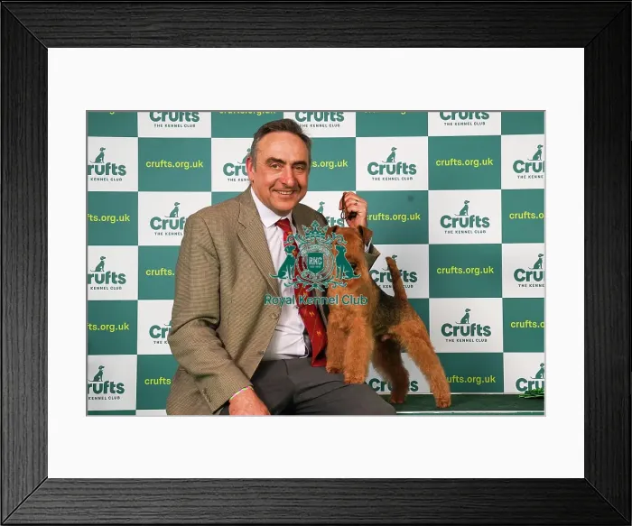 Framed Print : Andrew Westwood from Dudley with Mac, a Lakeland Terrier, which was the Best of Breed winner today (Saturday 11. 03. 23), the third day of Crufts 2023, at the NEC Birmingham Framed Print : Andrew Westwood from Dudley with Mac, a Lakeland Terrier, which was the Best of Breed winner today (Saturday 11. 03. 23), the third day of Crufts 2023, at the NEC Birmingham