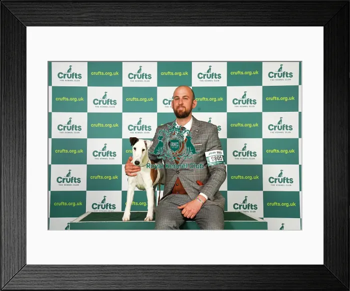 Framed Print : Juraj Sokolic from Croatia with Hemmingway, a Fox Terrier (Smooth), which was the Best of Breed winner today (Saturday 11. 03. 23), the third day of Crufts 2023, at the NEC Birmingham Framed Print : Juraj Sokolic from Croatia with Hemmingway, a Fox Terrier (Smooth), which was the Best of Breed winner today (Saturday 11. 03. 23), the third day of Crufts 2023, at the NEC Birmingham