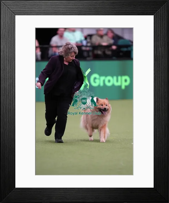 Framed Print : Susie Reynolds and Stacey Watkins from Brighton, with Ruby, a Eurasier, which was the Best of Breed winner today (Sunday 12. 03. 23), the last day of Crufts 2023, at the NEC Birmingham