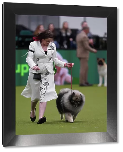 Natasha Hilkson from Derby with Vinnie, a Keeshond, which was the Best of Breed winner today (Sunday 12. 03. 23), the last day of Crufts 2023, at the NEC Birmingham