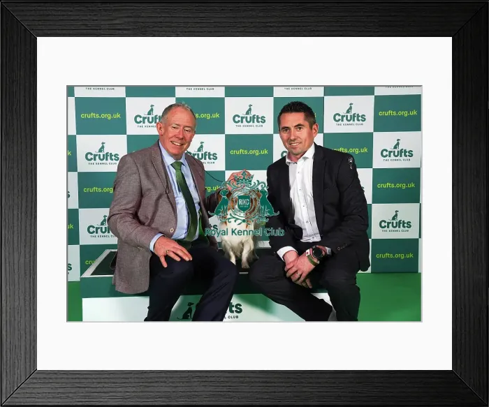 Framed Print : Sean Carrol and James Newman from Dublin, with Guiness, a Papillon, which was the Best of Breed winner today (Sunday 12. 03. 23), the last day of Crufts 2023, at the NEC Birmingham Framed Print : Sean Carrol and James Newman from Dublin, with Guiness, a Papillon, which was the Best of Breed winner today (Sunday 12. 03. 23), the last day of Crufts 2023, at the NEC Birmingham