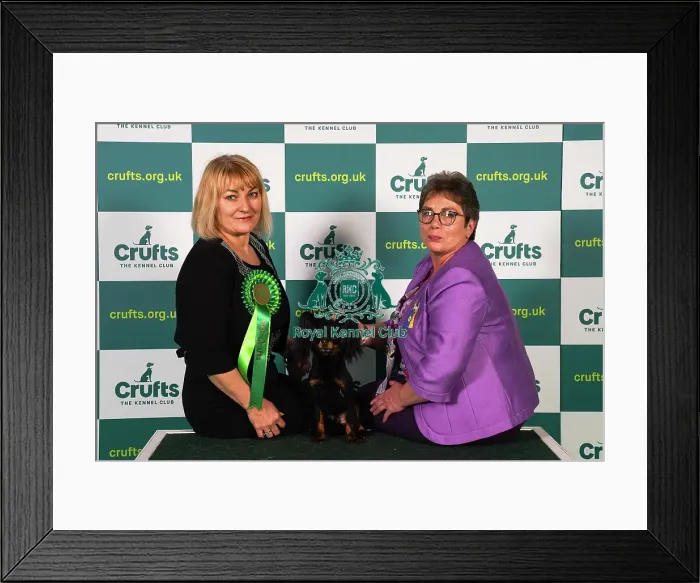 Framed Print : Amanda Orchard and Iveta Holyland from Romsey, with Pride, a Russian Toy, which was the Best of Breed winner today (Sunday 12. 03. 23), the last day of Crufts 2023, at the NEC Birmingham Framed Print : Amanda Orchard and Iveta Holyland from Romsey, with Pride, a Russian Toy, which was the Best of Breed winner today (Sunday 12. 03. 23), the last day of Crufts 2023, at the NEC Birmingham