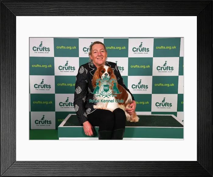 Framed Print : Tanya Ireland from Essex, with Dublin, a Cavalier King Charles Spaniel, which was the Best of Breed winner today (Sunday 12. 03. 23), the last day of Crufts 2023, at the NEC Birmingham