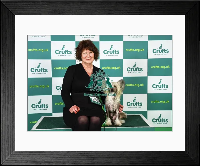 Framed Print : Pernilla Johansson from Sweden, with Walter, a Chinese Crested, which was the Best of Breed winner today (Sunday 12. 03. 23), the last day of Crufts 2023, at the NEC Birmingham Framed Print : Pernilla Johansson from Sweden, with Walter, a Chinese Crested, which was the Best of Breed winner today (Sunday 12. 03. 23), the last day of Crufts 2023, at the NEC Birmingham