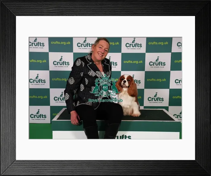 Framed Print : Tanya Ireland from Essex, with Dublin, a Cavalier King Charles Spaniel, which was the Best of Breed winner today (Sunday 12. 03. 23), the last day of Crufts 2023, at the NEC Birmingham Framed Print : Tanya Ireland from Essex, with Dublin, a Cavalier King Charles Spaniel, which was the Best of Breed winner today (Sunday 12. 03. 23), the last day of Crufts 2023, at the NEC Birmingham