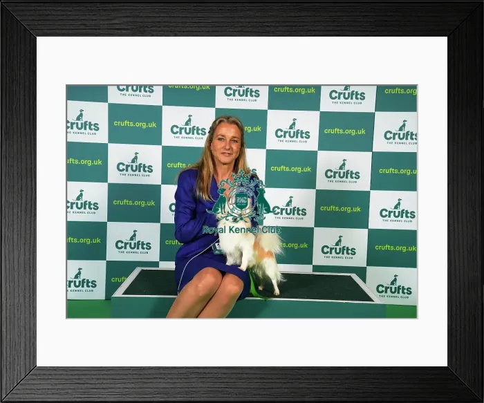 Framed Print : Irene Peeker from Sweden, with Million, a Chihuahua (Long Coat), which was the Best of Breed winner today (Sunday 12. 03. 23), the last day of Crufts 2023, at the NEC Birmingham