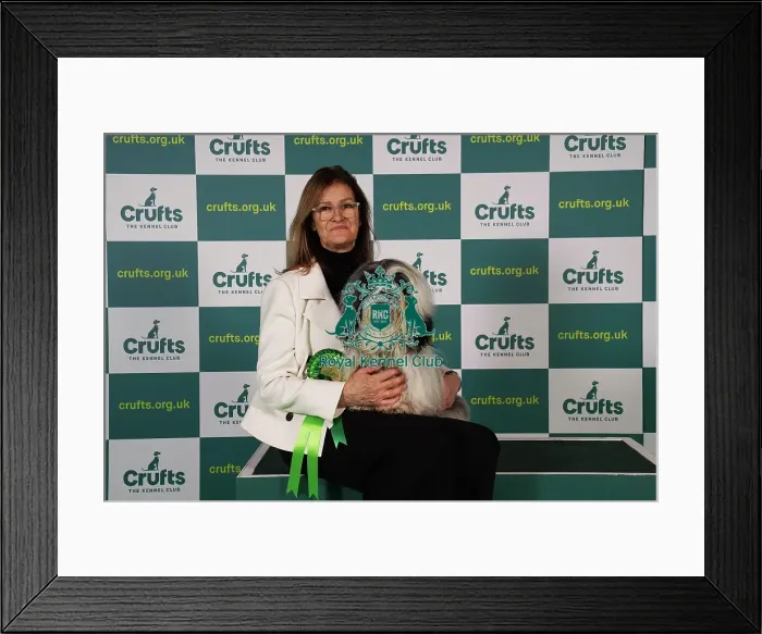 Framed Print : Jennifer Harper from London with Jovi, a Havanese, which was the Best of Breed winner today (Sunday 12. 03. 23), the last day of Crufts 2023, at the NEC Birmingham