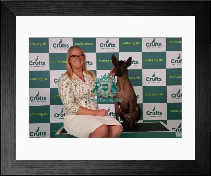Framed Print : Whitney Meeks from Indiana, USA, with Itzia, a Xoloitzcuintle (Mexican Hairless) (Standard), which was the Best of Breed winner today (Sunday 12. 03. 23), the last day of Crufts 2023, at the NEC Birmingham Framed Print : Whitney Meeks from Indiana, USA, with Itzia, a Xoloitzcuintle (Mexican Hairless) (Standard), which was the Best of Breed winner today (Sunday 12. 03. 23), the last day of Crufts 2023, at the NEC Birmingham