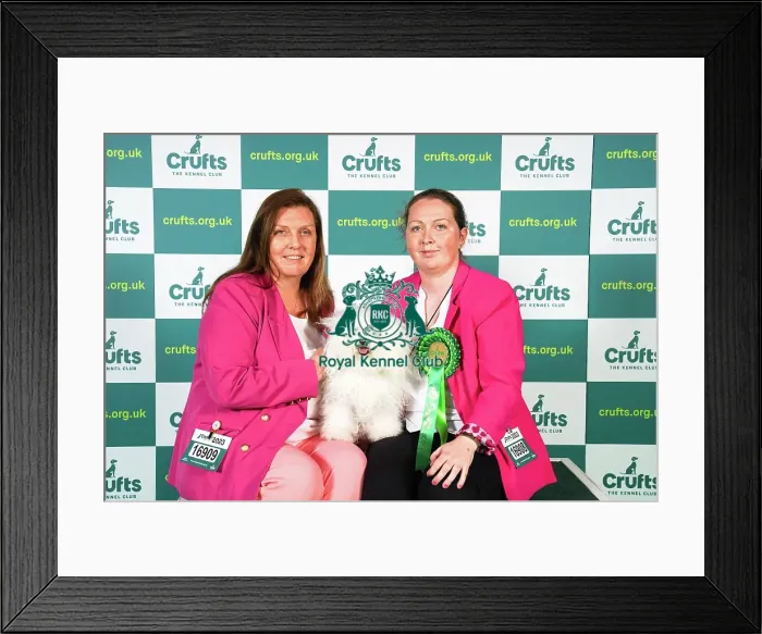 Framed Print : Carol Mulligan and Becky Mulligan from Isle of Wight, with Cassie, a Bolognese, which was the Best of Breed winner today (Sunday 12. 03. 23), the last day of Crufts 2023, at the NEC Birmingham Framed Print : Carol Mulligan and Becky Mulligan from Isle of Wight, with Cassie, a Bolognese, which was the Best of Breed winner today (Sunday 12. 03. 23), the last day of Crufts 2023, at the NEC Birmingham