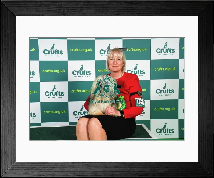 Framed Print : Zoe Richardson from Yorkshire, with Kenny, a Lowchen (Little Lion Dog), which was the Best of Breed winner today (Sunday 12. 03. 23), the last day of Crufts 2023, at the NEC Birmingham Framed Print : Zoe Richardson from Yorkshire, with Kenny, a Lowchen (Little Lion Dog), which was the Best of Breed winner today (Sunday 12. 03. 23), the last day of Crufts 2023, at the NEC Birmingham
