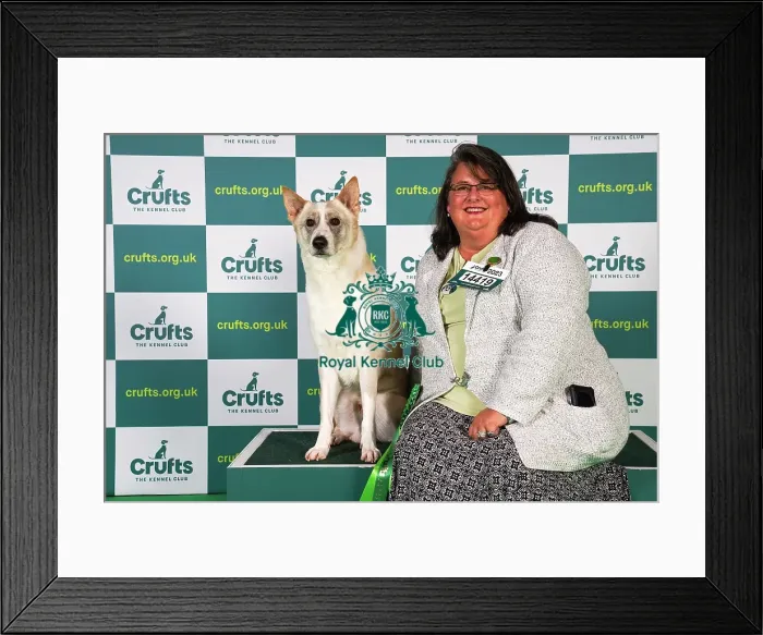 Framed Print : Chris Miller from Georgia, USA, with Datak, a Canaan Dog, which was the Best of Breed winner today (Sunday 12. 03. 23), the last day of Crufts 2023, at the NEC Birmingham Framed Print : Chris Miller from Georgia, USA, with Datak, a Canaan Dog, which was the Best of Breed winner today (Sunday 12. 03. 23), the last day of Crufts 2023, at the NEC Birmingham