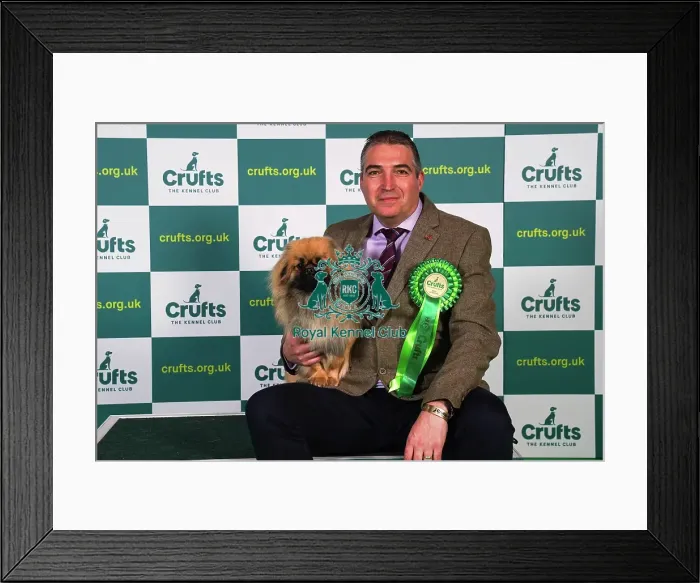 Framed Print : Lionel Prouve from Wales, with Simo, a Tibetan Spaniel, which was the Best of Breed winner today (Sunday 12. 03. 23), the last day of Crufts 2023, at the NEC Birmingham Framed Print : Lionel Prouve from Wales, with Simo, a Tibetan Spaniel, which was the Best of Breed winner today (Sunday 12. 03. 23), the last day of Crufts 2023, at the NEC Birmingham