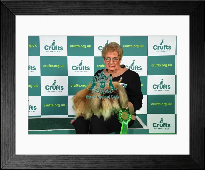 Framed Print : Sergio Amien from Spain, with Connon, a Yorkshire Terrier, which was the Best of Breed winner today (Sunday 12. 03. 23), the last day of Crufts 2023, at the NEC Birmingham Framed Print : Sergio Amien from Spain, with Connon, a Yorkshire Terrier, which was the Best of Breed winner today (Sunday 12. 03. 23), the last day of Crufts 2023, at the NEC Birmingham