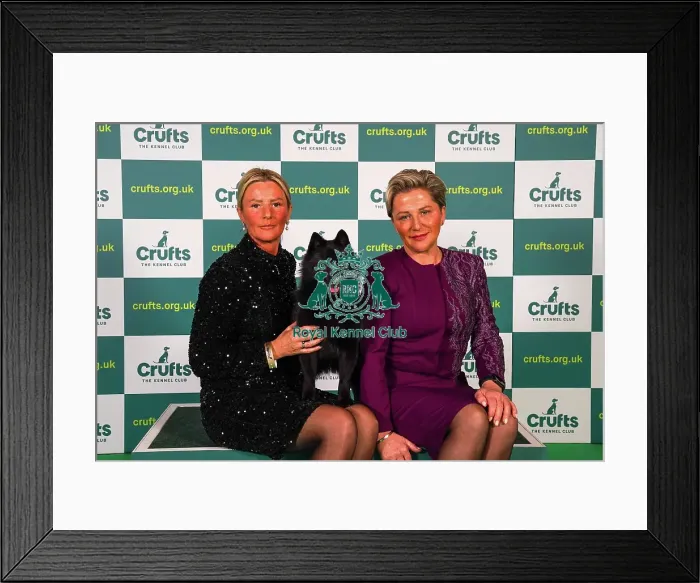 Framed Print : Lindsey McLachlan and Joanne McLachlan from The Wirral, with Stellon, a Schipperke, which was the Best of Breed winner today (Sunday 12. 03. 23), the last day of Crufts 2023, at the NEC Birmingham Framed Print : Lindsey McLachlan and Joanne McLachlan from The Wirral, with Stellon, a Schipperke, which was the Best of Breed winner today (Sunday 12. 03. 23), the last day of Crufts 2023, at the NEC Birmingham