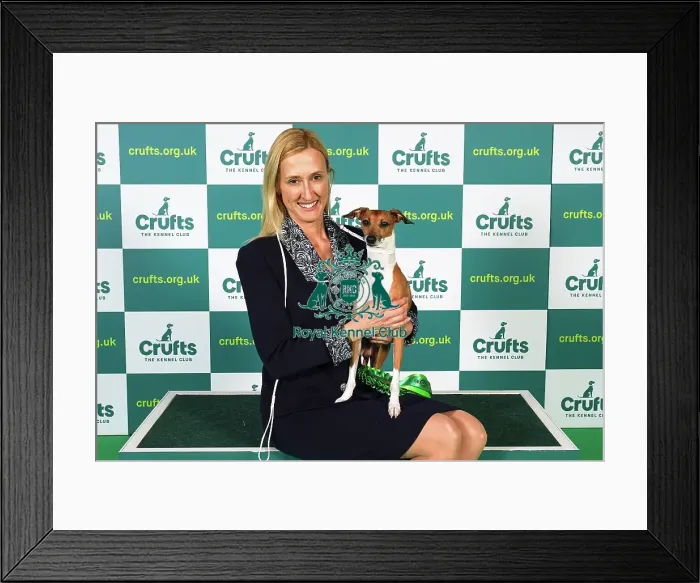 Framed Print : Dini Westerman from Canada, with Mojo, a Italian Greyhound, which was the Best of Breed winner today (Sunday 12. 03. 23), the last day of Crufts 2023, at the NEC Birmingham Framed Print : Dini Westerman from Canada, with Mojo, a Italian Greyhound, which was the Best of Breed winner today (Sunday 12. 03. 23), the last day of Crufts 2023, at the NEC Birmingham