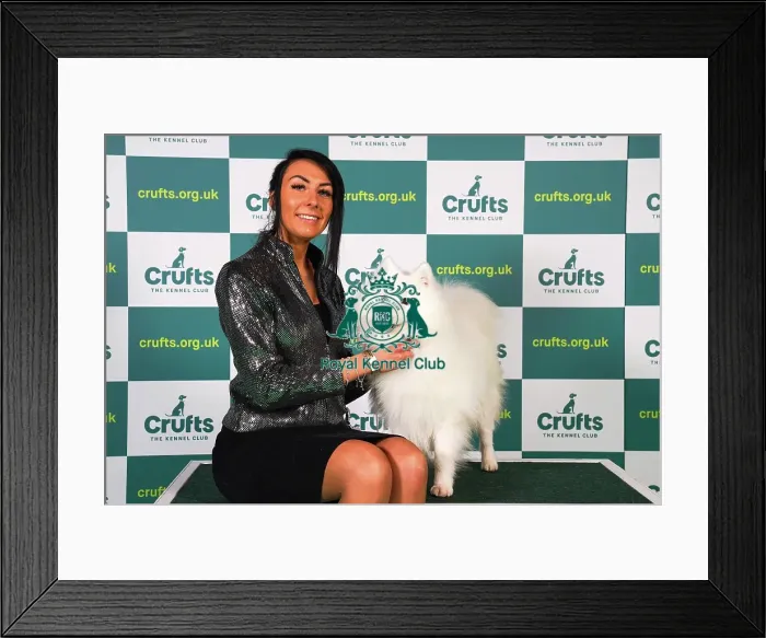 Framed Print : Kennedy Aston from Telford, with Romeo, a Japanese Spitz, which was the Best of Breed winner today (Sunday 12. 03. 23), the last day of Crufts 2023, at the NEC Birmingham Framed Print : Kennedy Aston from Telford, with Romeo, a Japanese Spitz, which was the Best of Breed winner today (Sunday 12. 03. 23), the last day of Crufts 2023, at the NEC Birmingham