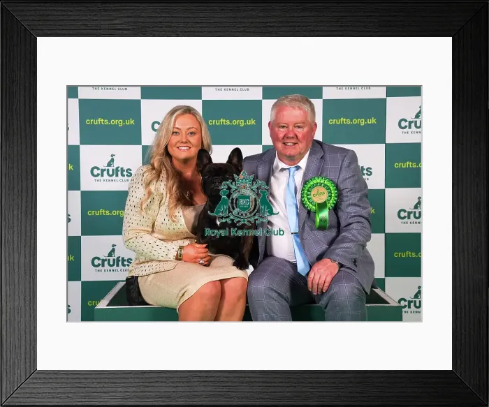 Framed Print : Abbie Cund and Dean Cund from Birmingham, with Elton, a French Bulldog, which was the Best of Breed winner today (Sunday 12. 03. 23), the last day of Crufts 2023, at the NEC Birmingham Framed Print : Abbie Cund and Dean Cund from Birmingham, with Elton, a French Bulldog, which was the Best of Breed winner today (Sunday 12. 03. 23), the last day of Crufts 2023, at the NEC Birmingham