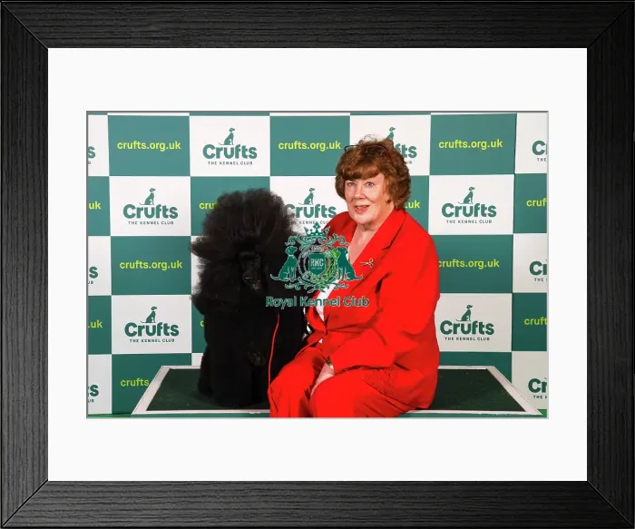 Framed Print : Liz Holmes-Loak from Bradford, with Lewis, a Poodle (Miniature), which was the Best of Breed winner today (Sunday 12. 03. 23), the last day of Crufts 2023, at the NEC Birmingham