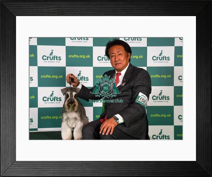 Framed Print : Masami Uryu from Japan, with Magi, a Miniature Schnauzer, which was the Best of Breed winner today (Sunday 12. 03. 23), the last day of Crufts 2023, at the NEC Birmingham Framed Print : Masami Uryu from Japan, with Magi, a Miniature Schnauzer, which was the Best of Breed winner today (Sunday 12. 03. 23), the last day of Crufts 2023, at the NEC Birmingham